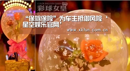 星空娱乐app