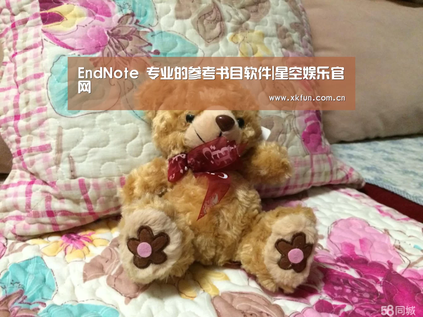 EndNote 专业的参考书目软件|星空娱乐官网(图2) 星空娱乐官网